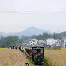 上饶旅游 缩略图 11