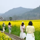 上饶旅游 缩略图 14