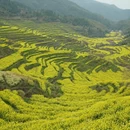 黄山旅游 缩略图 2