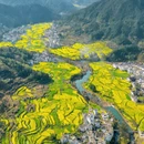 黄山旅游 缩略图 2