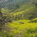 黄山旅游 缩略图 5