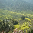 黄山旅游 缩略图 1