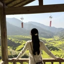黄山旅游 缩略图 6