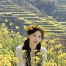 黄山旅游 缩略图 4