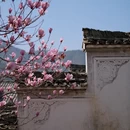 黄山旅游 缩略图 9