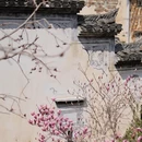 黄山旅游 缩略图 8