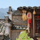黄山旅游 缩略图 5