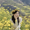 黄山旅游 缩略图 2