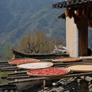 黄山旅游 缩略图 6