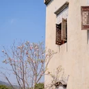 黄山旅游 缩略图 10