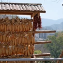 黄山旅游 缩略图 17