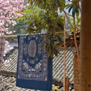 黄山旅游 缩略图 16
