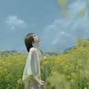 黄山旅游 缩略图 2