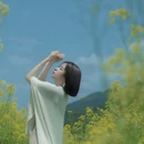 黄山旅游 缩略图 4