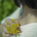 黄山旅游 缩略图 5