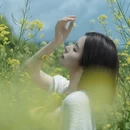 黄山旅游 缩略图 8