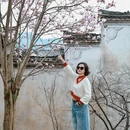 黄山旅游 缩略图 10