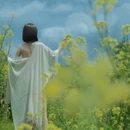 黄山旅游 缩略图 7