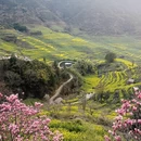黄山旅游 缩略图 3