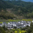 黄山旅游 缩略图 6