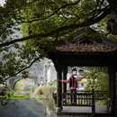 黄山旅游 缩略图 7