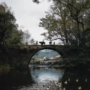 黄山旅游 缩略图 5