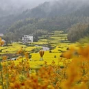 黄山旅游 缩略图 15