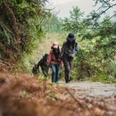 黄山旅游 缩略图 13