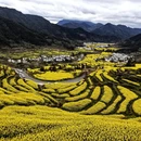 黄山旅游 缩略图 3