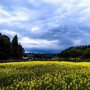 黄山旅游 缩略图 5