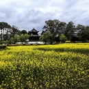 黄山旅游 缩略图 4