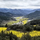 黄山旅游 缩略图 1