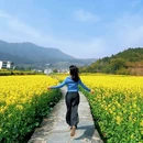 黄山旅游 缩略图 1