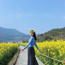 黄山旅游 缩略图 2