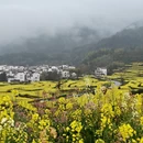 黄山旅游 缩略图 17