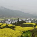 黄山旅游 缩略图 18