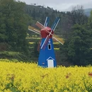 黄山旅游 缩略图 3