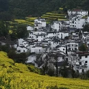 黄山旅游 缩略图 1