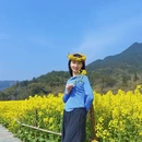 黄山旅游 缩略图 5