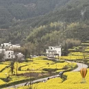 黄山旅游 缩略图 7