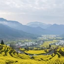 黄山旅游 缩略图 5