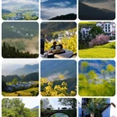 黄山旅游 缩略图 1
