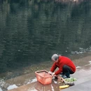 黄山旅游 缩略图 10