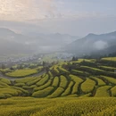 黄山旅游 缩略图 3