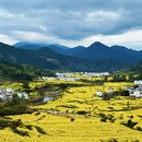 黄山旅游 缩略图 13