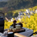 黄山旅游 缩略图 8