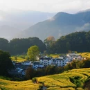 黄山旅游 缩略图 7