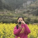黄山旅游 缩略图 14