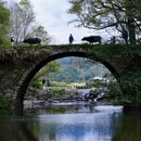 黄山旅游 缩略图 18