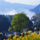 黄山旅游 缩略图 10